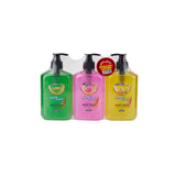 3 Piece Offer Pack Soft N Cool Hand Wash Liquid