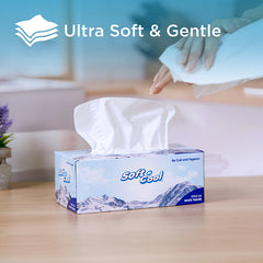 Soft N Cool Facial Tissue 200 Pulls X 2 Ply 5 Boxes + 150 Pull X 2 Ply 1 Box