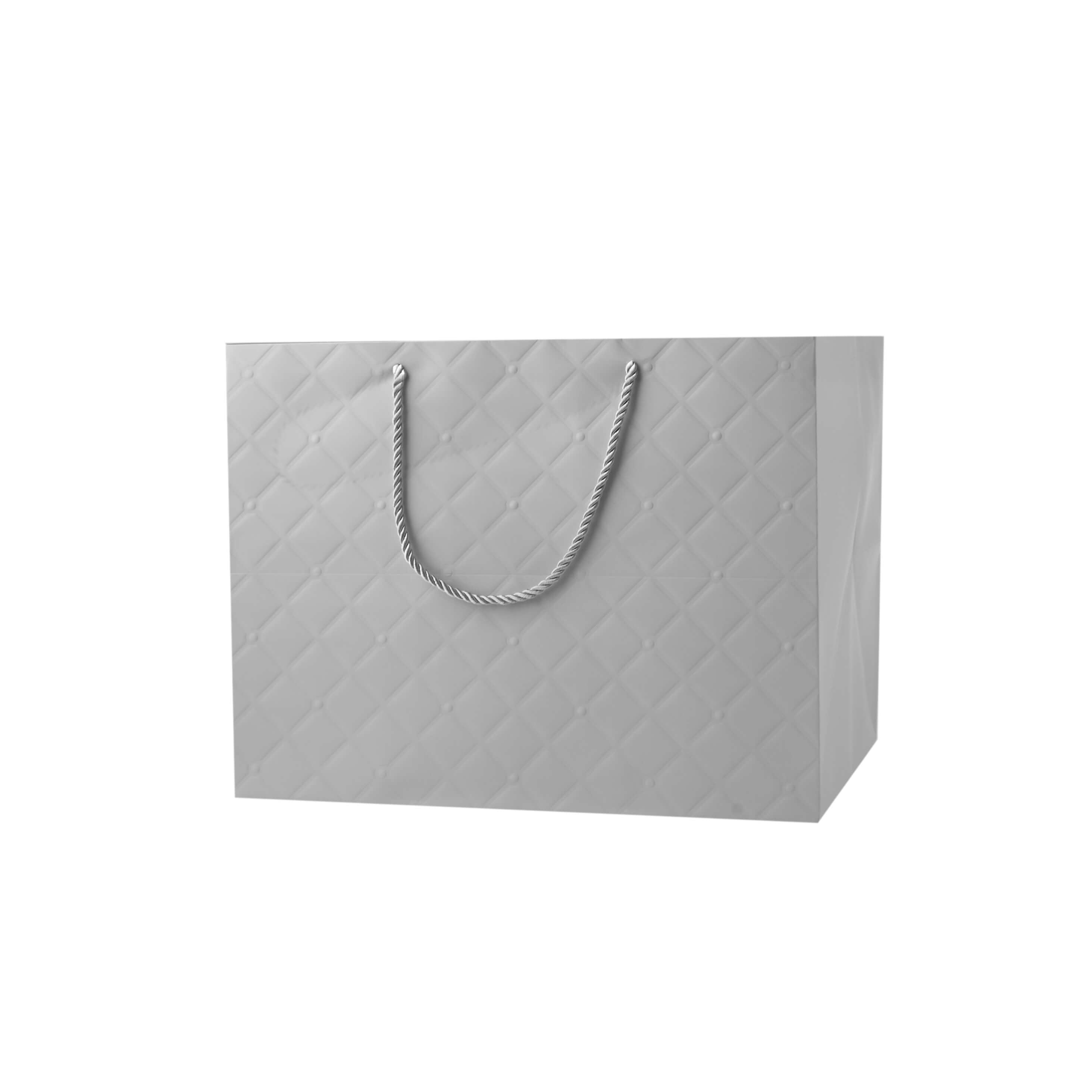 Gift Paper Bag - hotpack.om